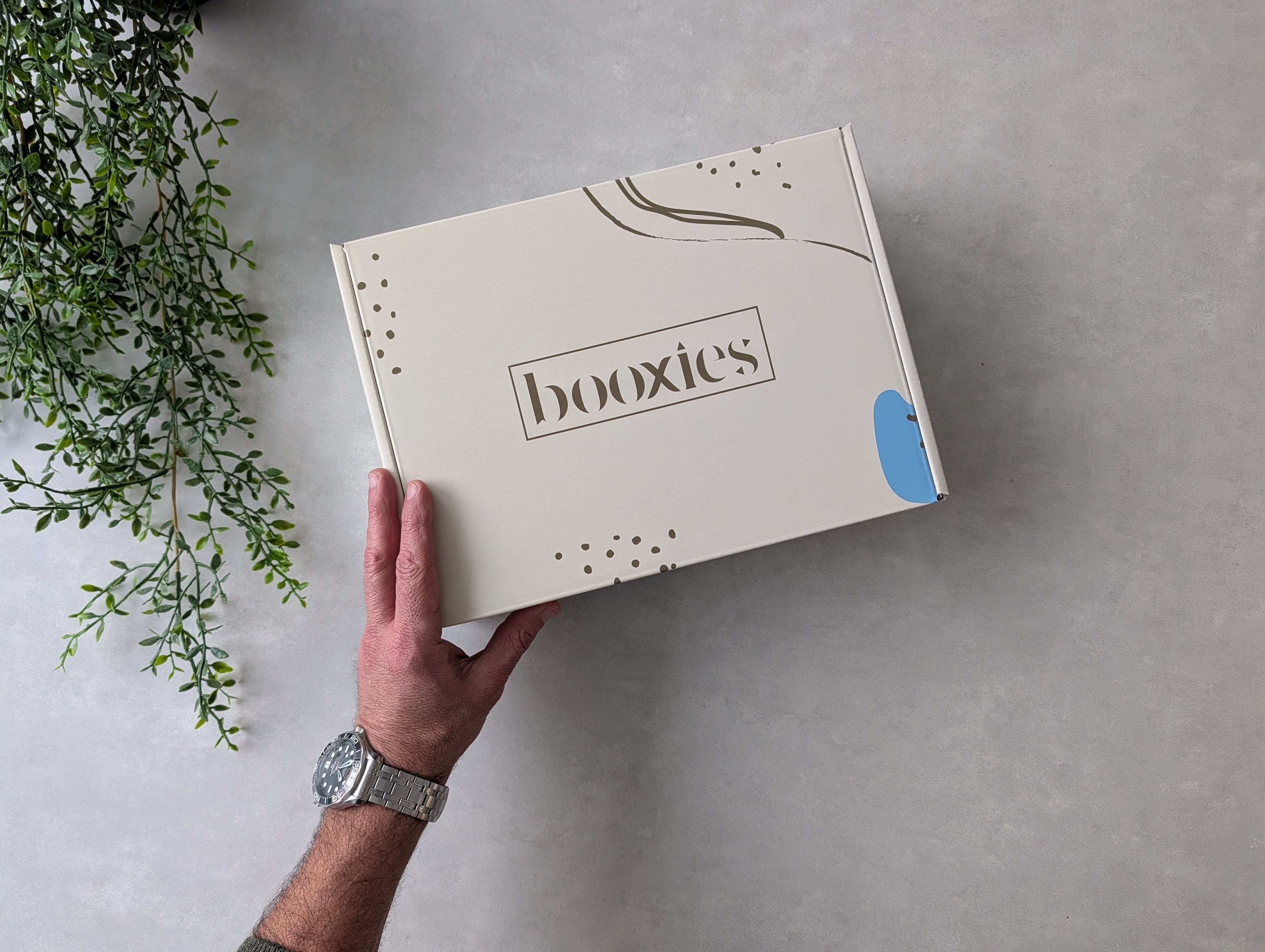 Booxies day light premium box. A hand holds a cream-colored Booxies subscription box against a gray concrete wall, with a green plant visible in the upper left corner.