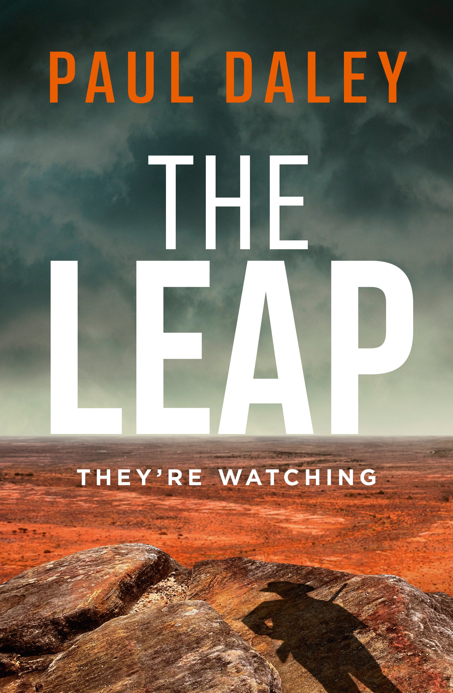 Book cover of 'The Leap' by Paul Daley with a stormy background and wooden platform.