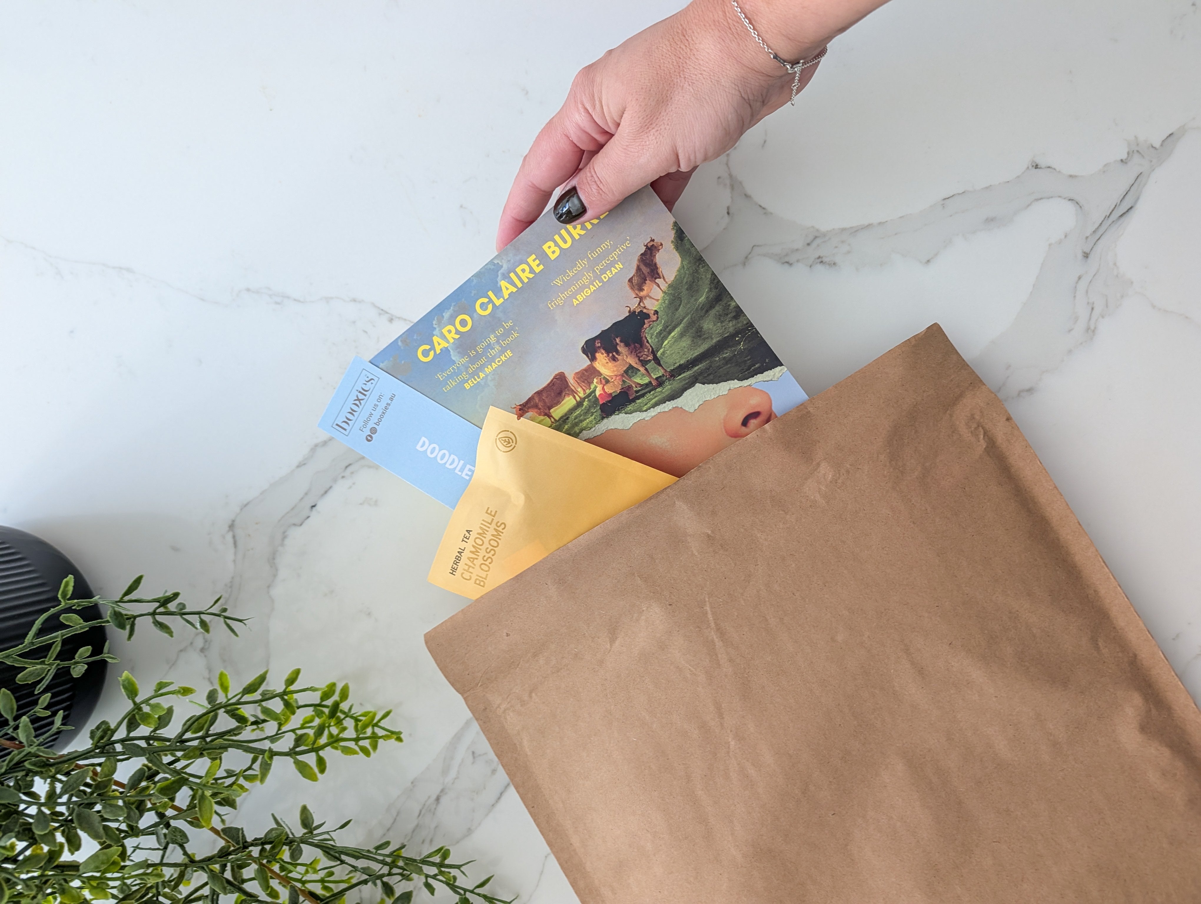 Boxless Mystery Booxies - The Starter Book Subscription Experience FROM $36.47/ Month