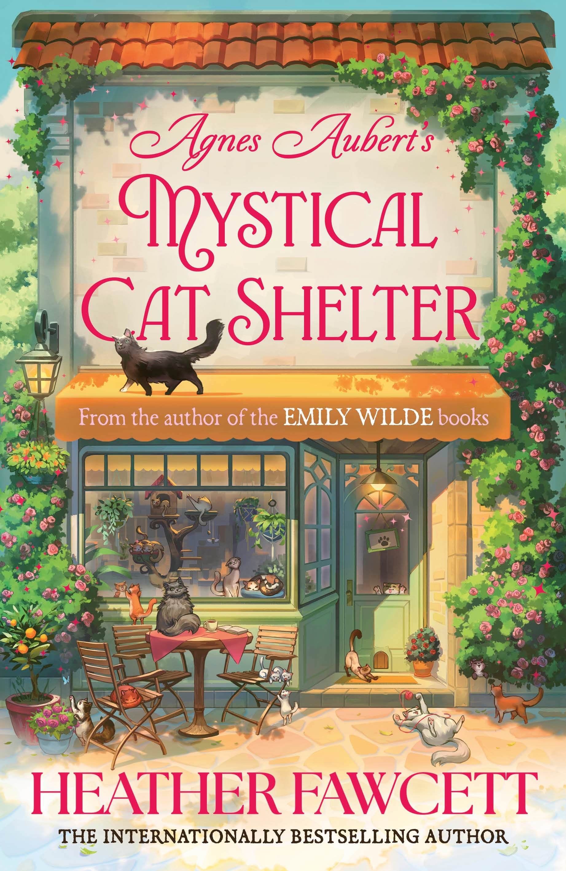 Book cover of 'Aynes Aubert's Mystical Cat Shelter' by Heather Fawcett with a cat shelter illustration.