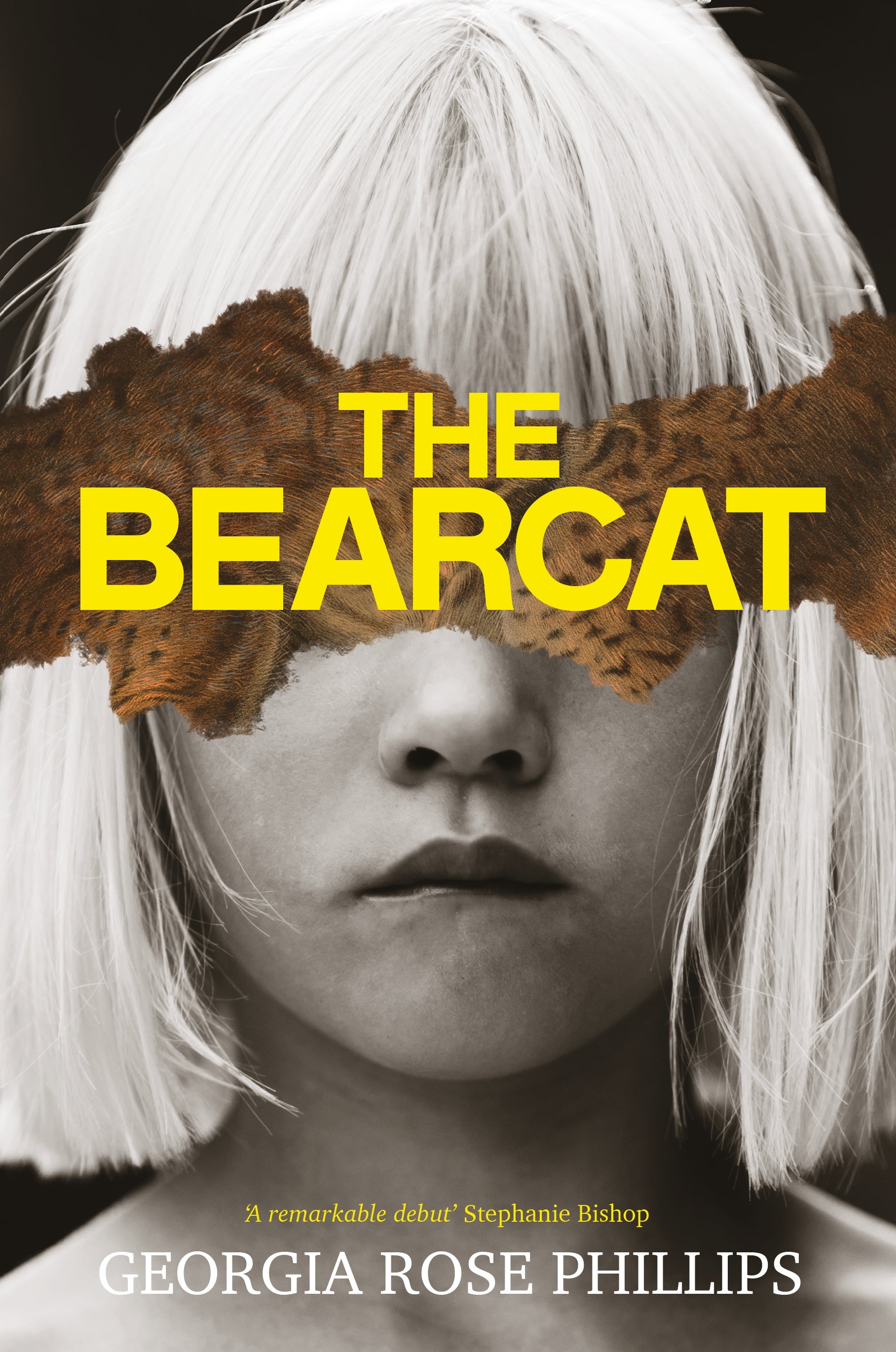 The bearcat by Georgia Rose Phillips