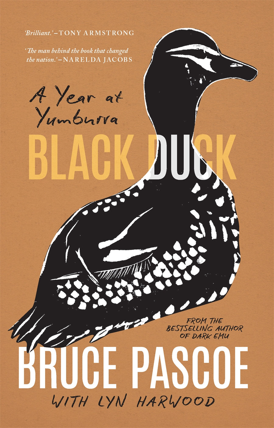 Black duck by Bruce Pascoe