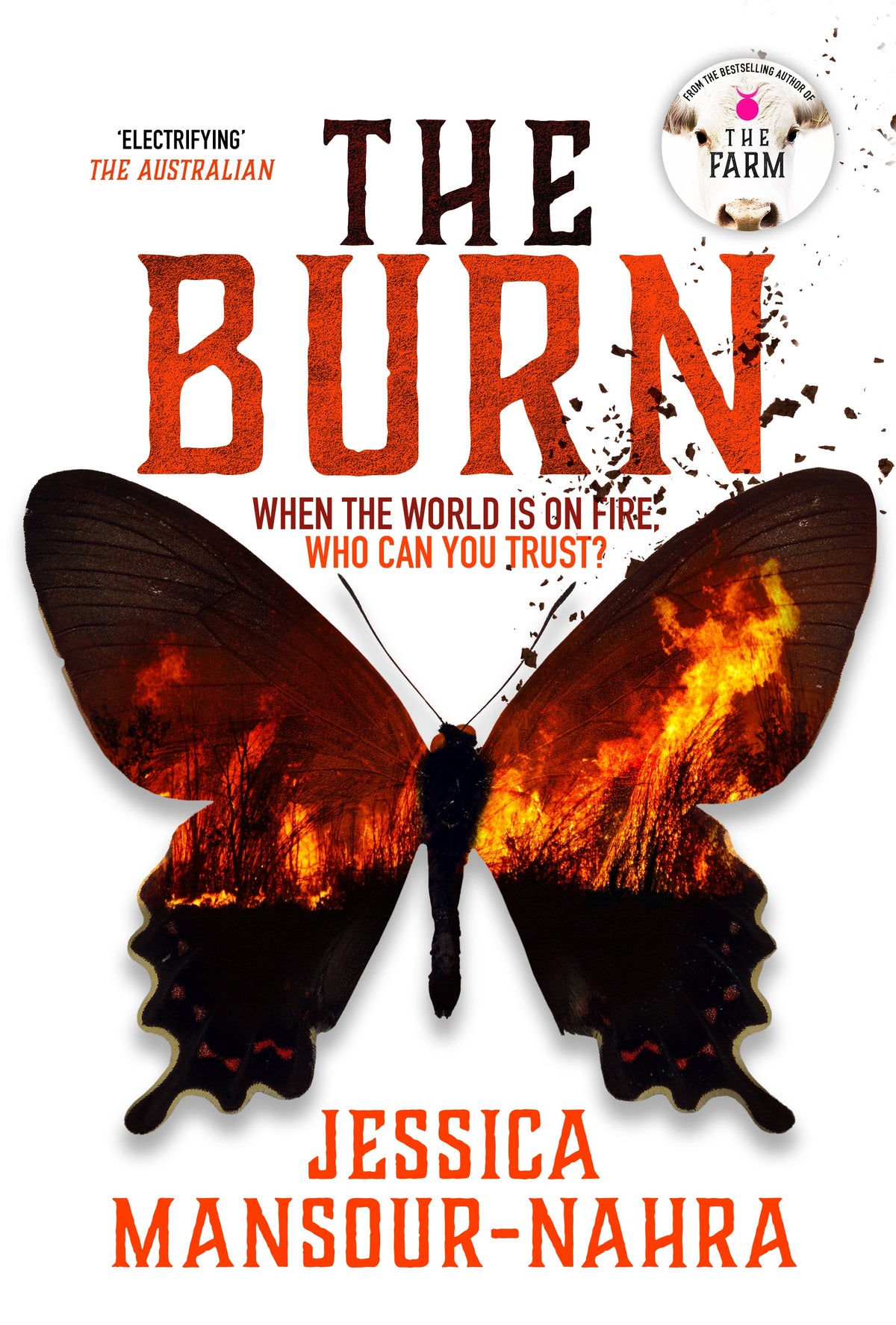 the burn by Jessica Mansour - Nahra