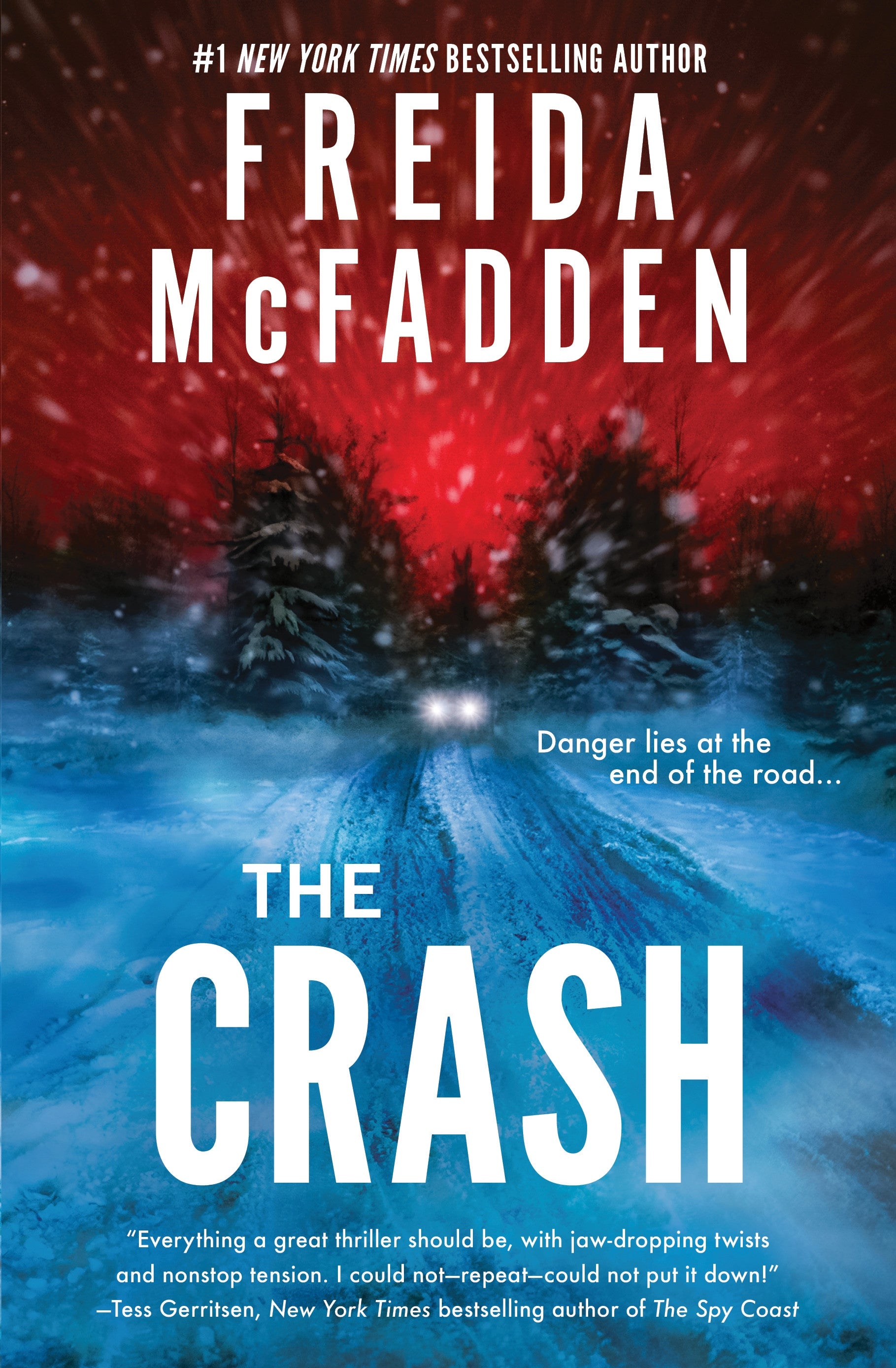 the crash by Freida McFadden