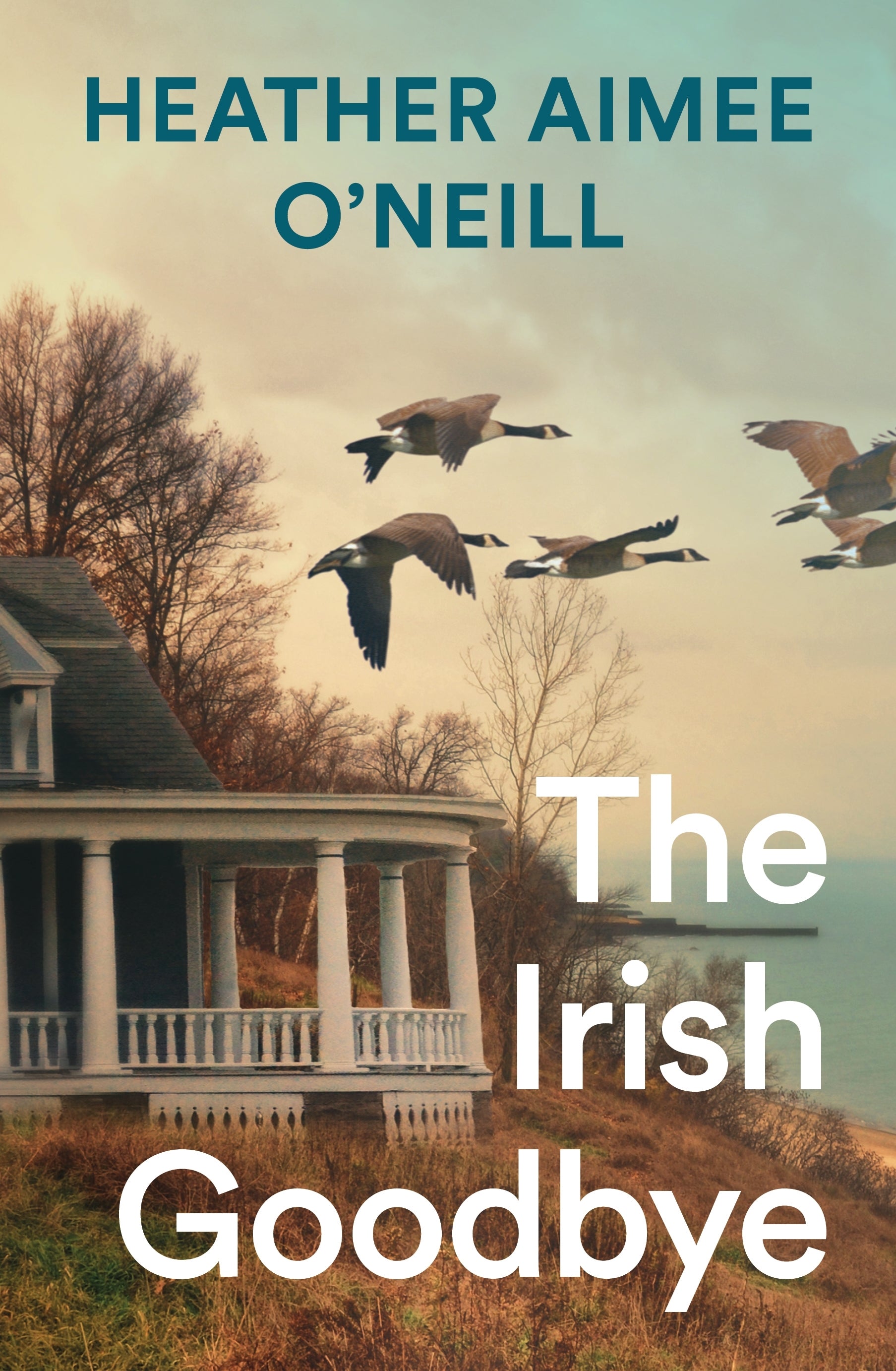 Book cover of 'The Irish Goodbye' by Heather Aimee O'Neill with a house and flying geese.