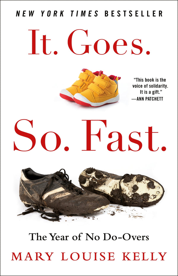 it goes so fast by Mary Louise Kelly