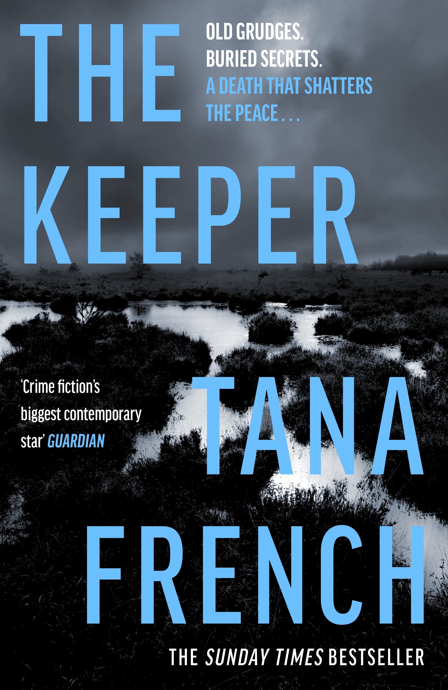 Book cover of 'The Keeper' by Tana French with a dark, moody landscape.