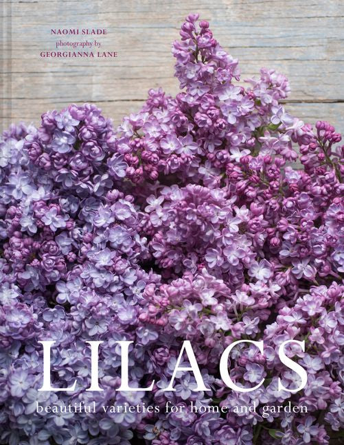 Lilacs by Georgianna Lane & Naomi Slade 