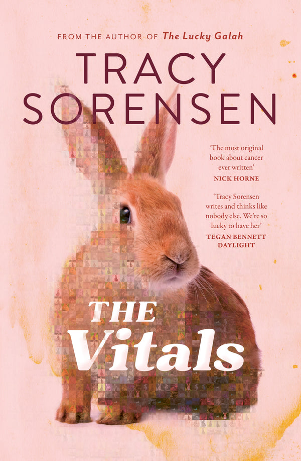 The Vitals by Tracy Sorensen