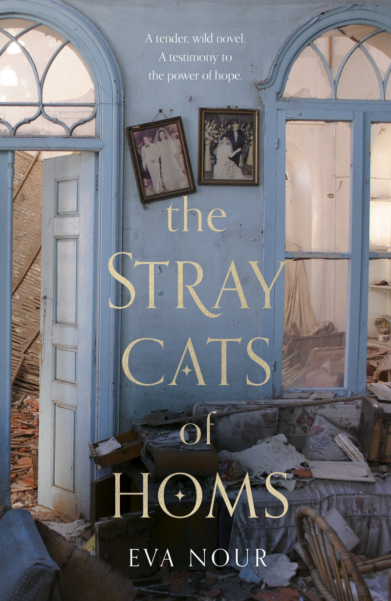 The Stray Cats of Homs-booxies