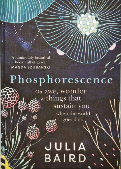 Phosphorescence by Julia Baird
